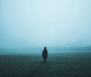 Превью обои поле, туман, человек, одиночество