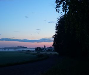 Превью обои поле, туман, деревья, пейзаж, рассвет