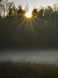 Превью обои поле, туман, закат, солнечный свет, трава
