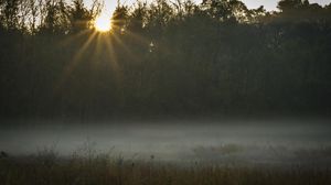 Превью обои поле, туман, закат, солнечный свет, трава