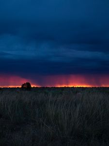 Превью обои поле, закат, трава, облака