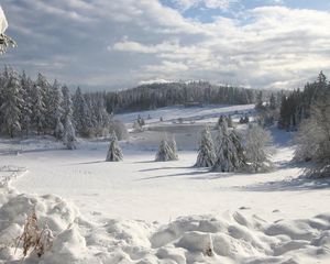 Превью обои поле, зима, снег, ели, покров, одеяние, сугробы, облака, небо, лес, рыхлый