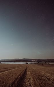 Превью обои поле, звездное небо, трава, звезды, ночь, горизонт