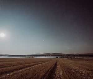 Превью обои поле, звездное небо, трава, звезды, ночь, горизонт