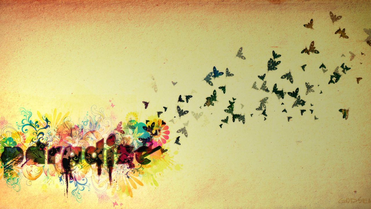 Обои полет, небо, бабочки, птицы, яркий