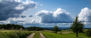 Превью обои поля, деревья, кусты, облака, небо, пейзаж