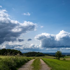 Превью обои поля, деревья, кусты, облака, небо, пейзаж