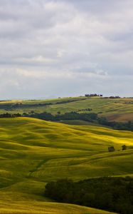 Превью обои поля, италия, montalcino, tuscany, природа