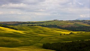 Превью обои поля, италия, montalcino, tuscany, природа