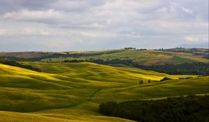 Превью обои поля, италия, montalcino, tuscany, природа