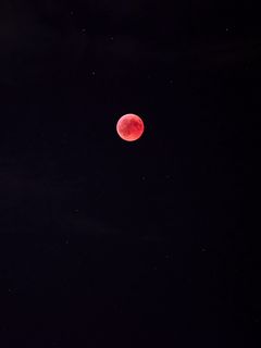240x320 Обои полнолуние, красная луна, луна, ночь, небо, звездное небо