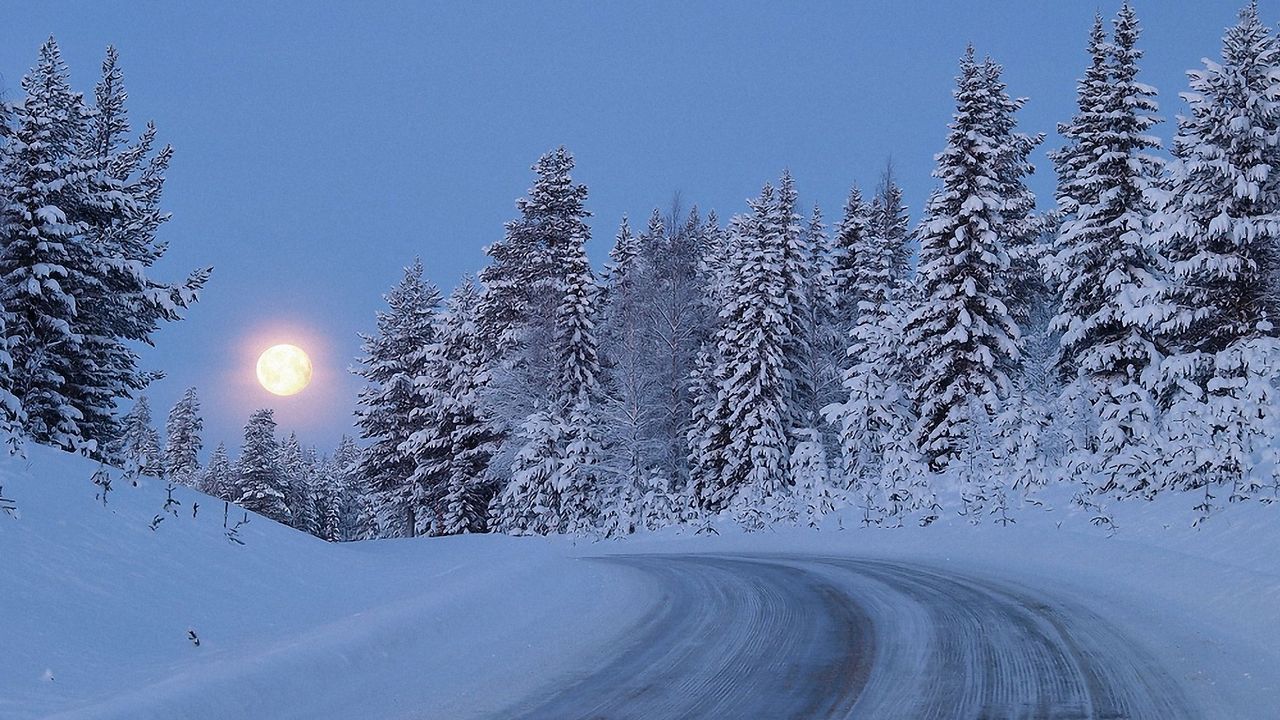 Обои полнолуние, ночь, небо, дорога, подъем, снег, лес, деревья