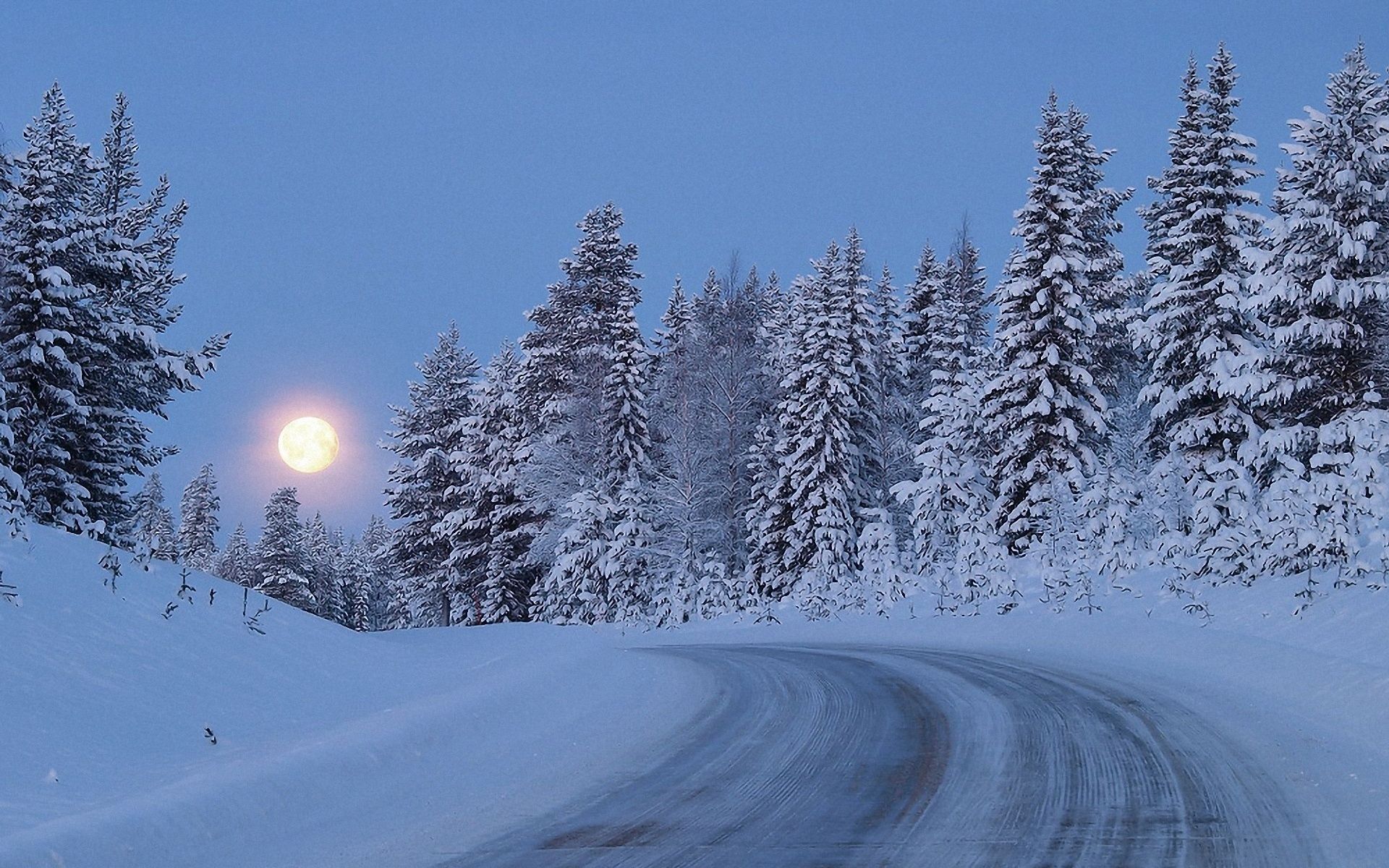 1920x1200 Обои полнолуние, ночь, небо, дорога, подъем, снег, лес, деревья