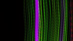 Превью обои полосы, линии, неон, темный, свечение