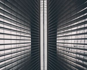 Превью обои полосы, линии, стена, поверхность, чб