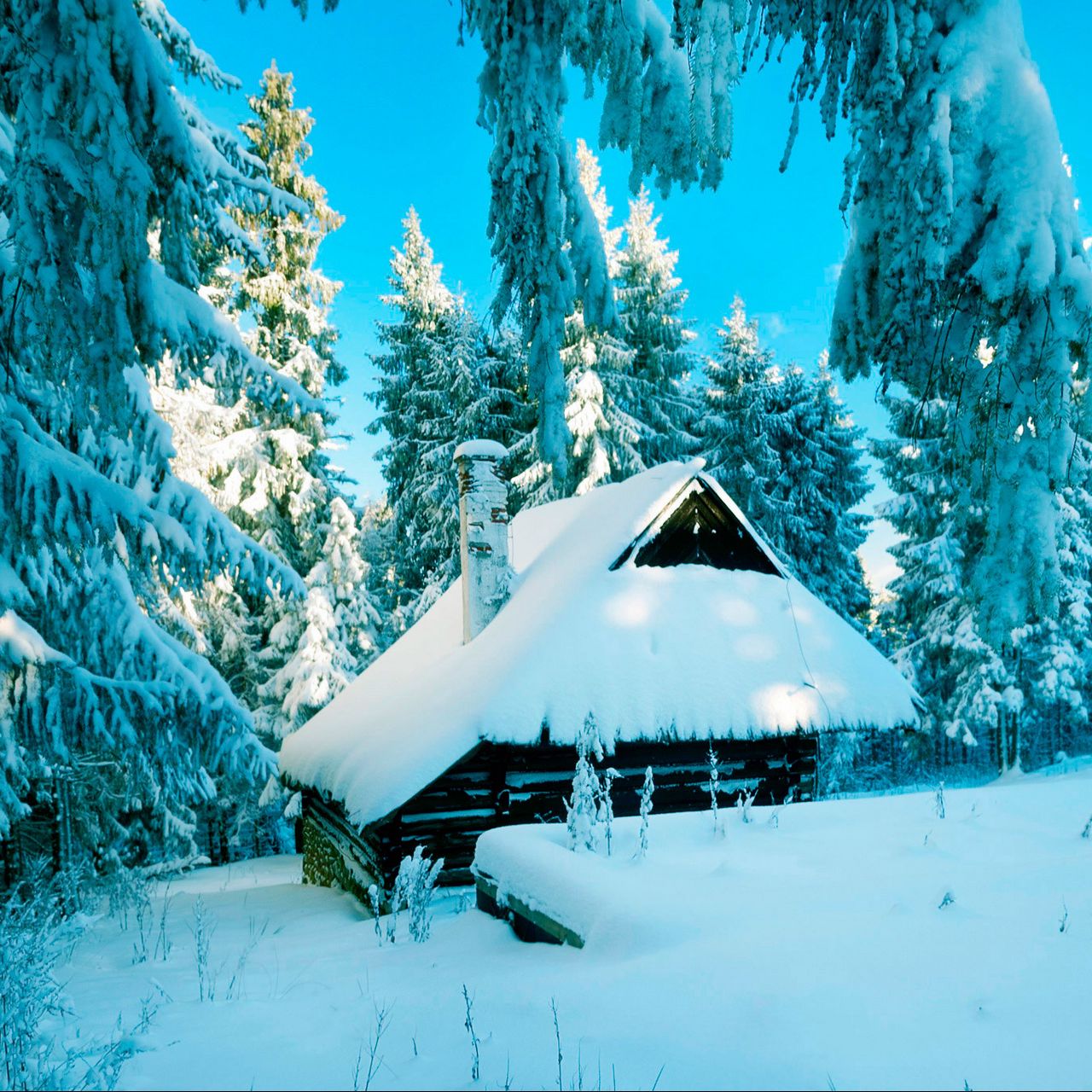 дом в снегу картинки