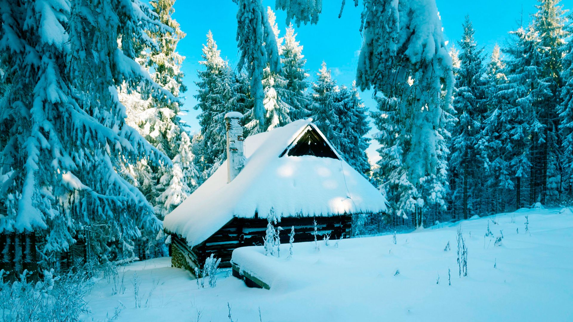 Польша Зимой Фото