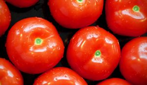 Превью обои помидоры, томаты, еда, овощи