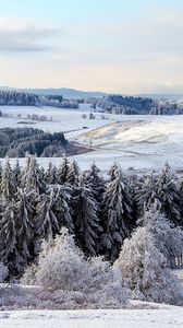 Превью обои поппенхаузен, германия, снег, лес