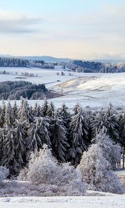 Превью обои поппенхаузен, германия, снег, лес