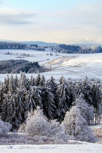 Превью обои поппенхаузен, германия, снег, лес