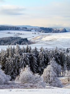 Превью обои поппенхаузен, германия, снег, лес