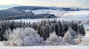 Превью обои поппенхаузен, германия, снег, лес