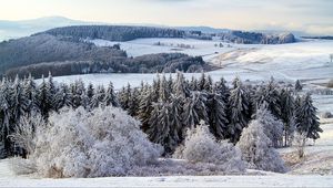 Превью обои поппенхаузен, германия, снег, лес