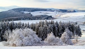 Превью обои поппенхаузен, германия, снег, лес