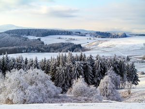 Превью обои поппенхаузен, германия, снег, лес