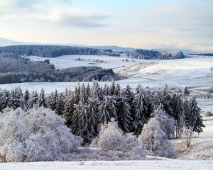 Превью обои поппенхаузен, германия, снег, лес