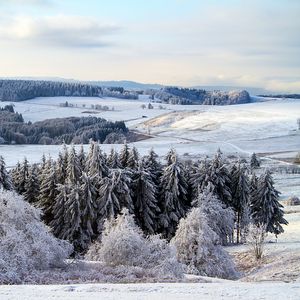 Превью обои поппенхаузен, германия, снег, лес