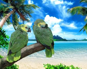 Превью обои попугаи, берег, море, небо, лето, пара