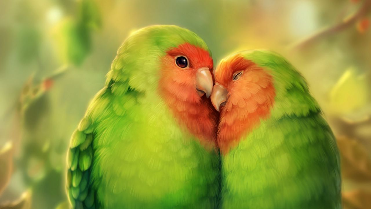 Обои попугаи, птицы, романтика, милый, арт