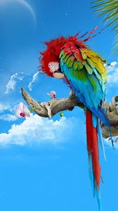 Превью обои попугай, разноцветный, перья, ветка, сидеть