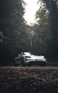 Превью обои porsche 911, porsche, вид сбоку, серый, лес