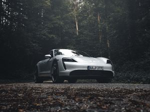 Превью обои porsche 911, porsche, вид сбоку, серый, лес