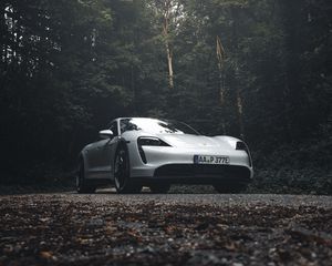 Превью обои porsche 911, porsche, вид сбоку, серый, лес