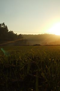 Превью обои португалия, свет, утро, поле, трава, провода