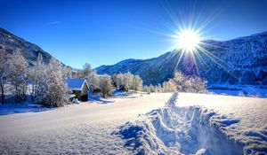 Превью обои природа, лес, рассвет, зима, горы