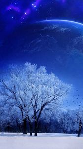 Превью обои природа, пейзаж, зима, небо, снег, полнолуние, деревья, птицы, вечер