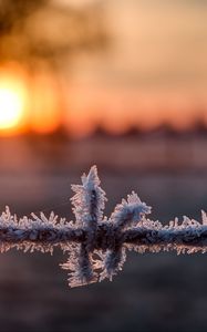 Превью обои проволока, мороз, зима, рассвет