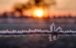 Превью обои проволока, мороз, зима, рассвет