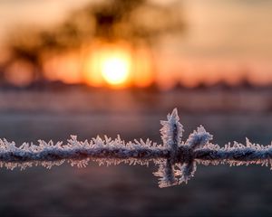 Превью обои проволока, мороз, зима, рассвет