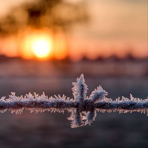 Превью обои проволока, мороз, зима, рассвет