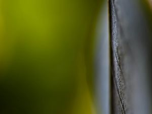 Превью обои прожилки, лист, зеленый, размытие, макро