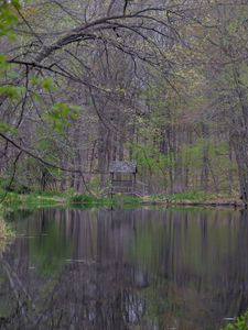 Превью обои пруд, беседка, деревья, лес, природа