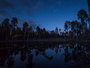 Превью обои пруд, деревья, лес, бревна, ночь, звезды