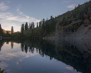 Превью обои пруд, деревья, отражение, камни, природа