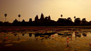 Превью обои пруд, лилии, панорама, камбоджа
